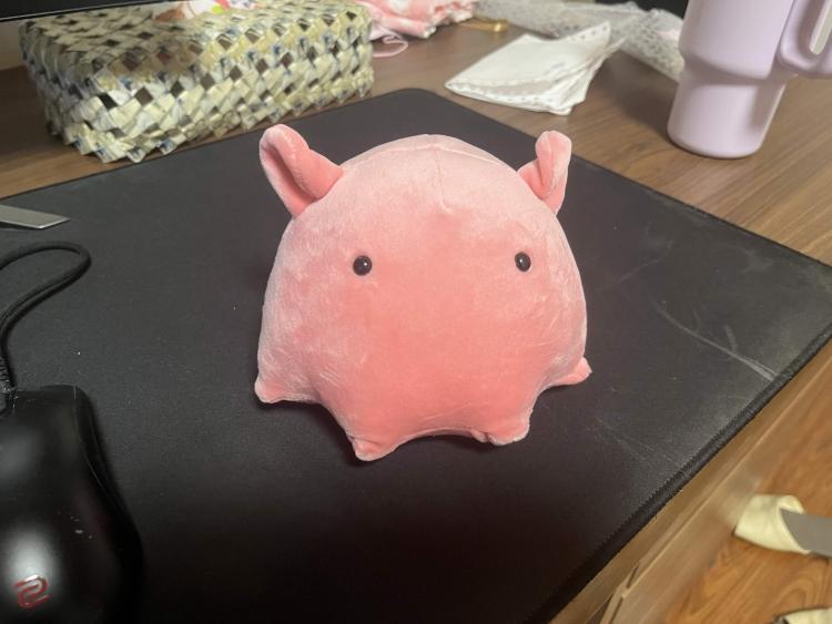 fp